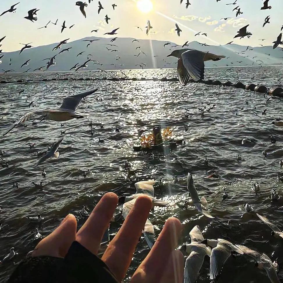 浅唱。