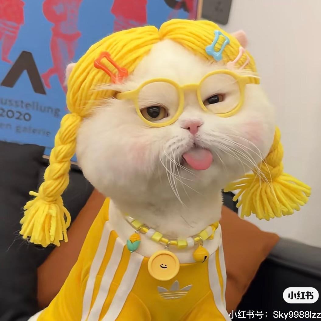 陈以安