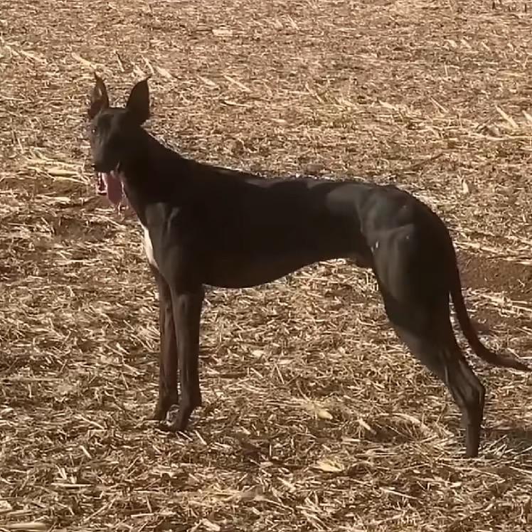 刘昱君他四爷爷