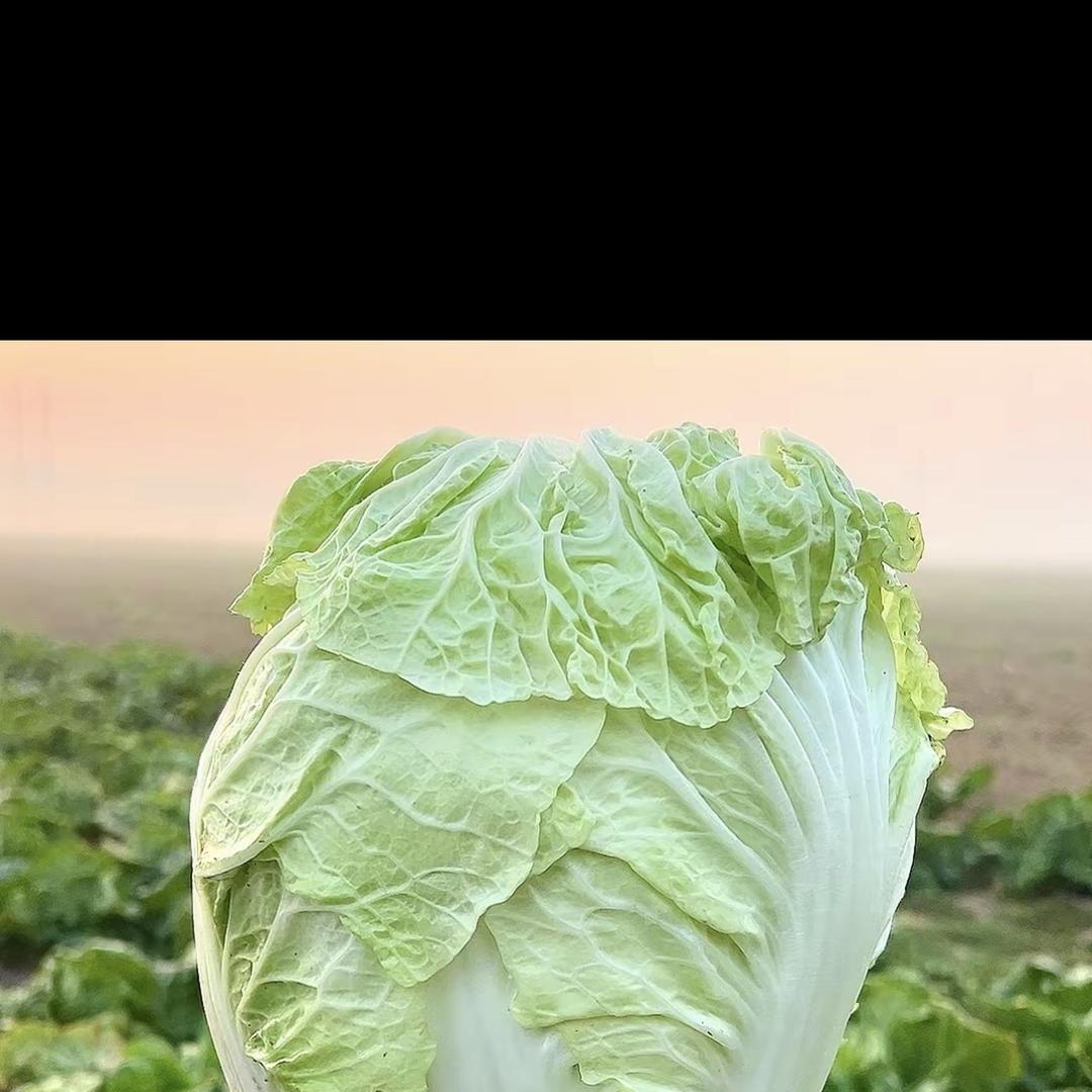 小乐鲜生农产品店