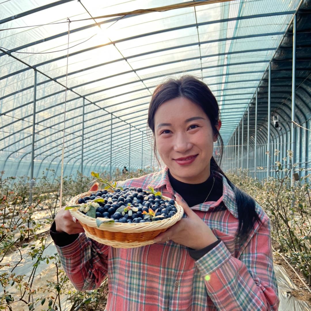 婷好家蓝莓园慧慧