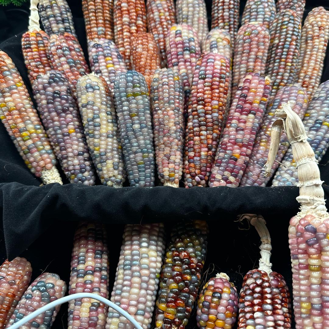 龙哥文玩小玉米