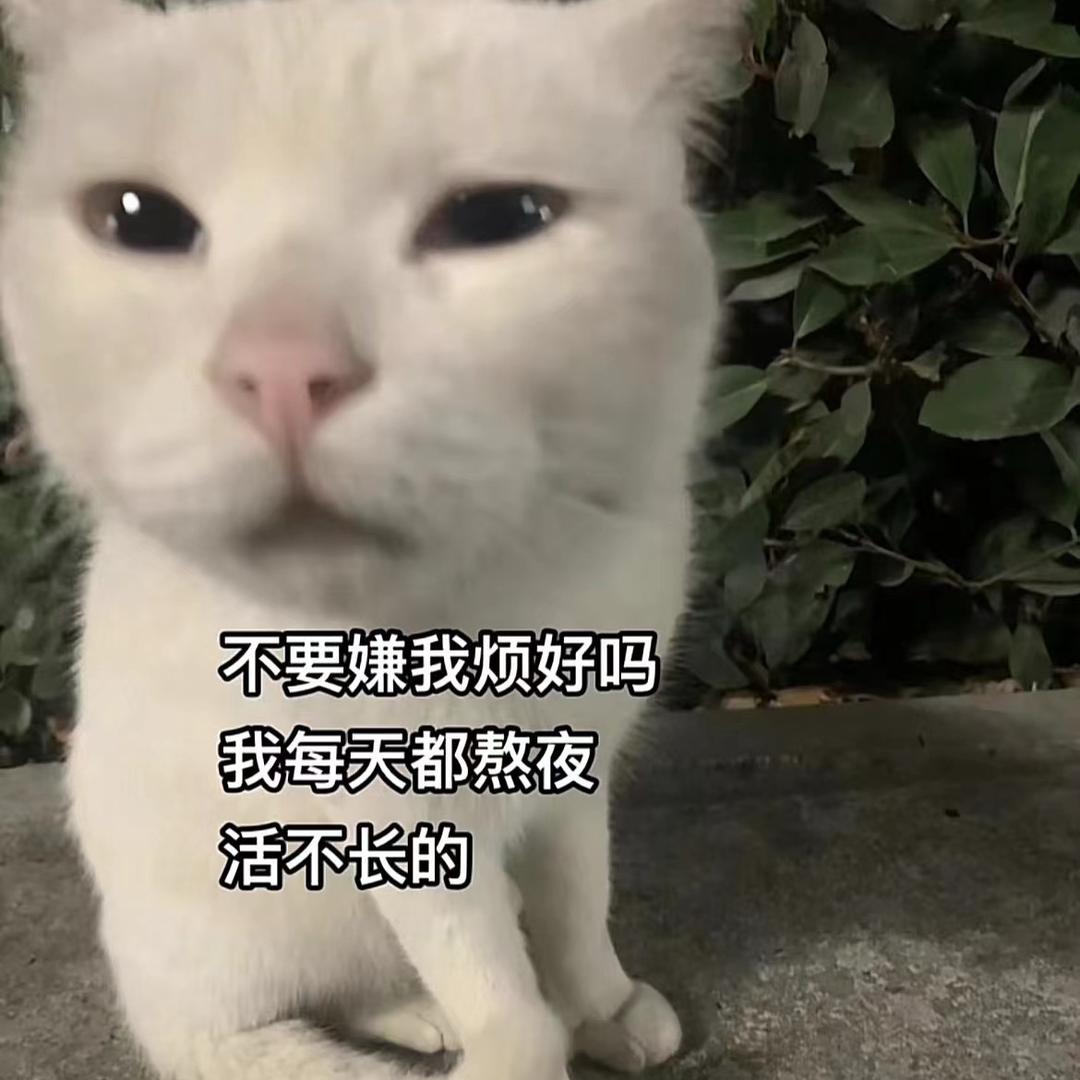 k kk