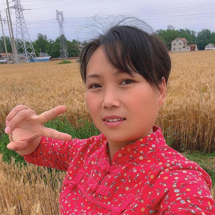 豫见英姐