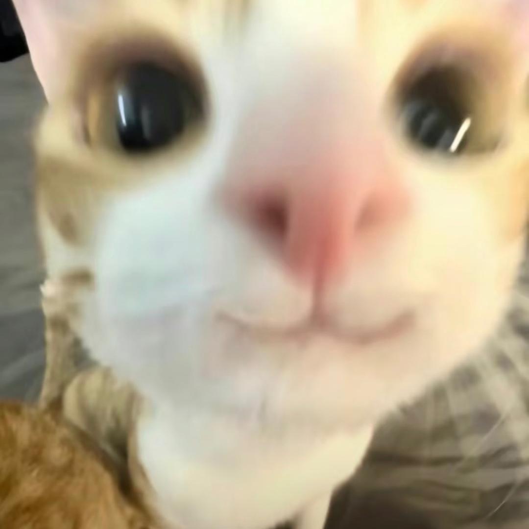 nabe囧囧囧