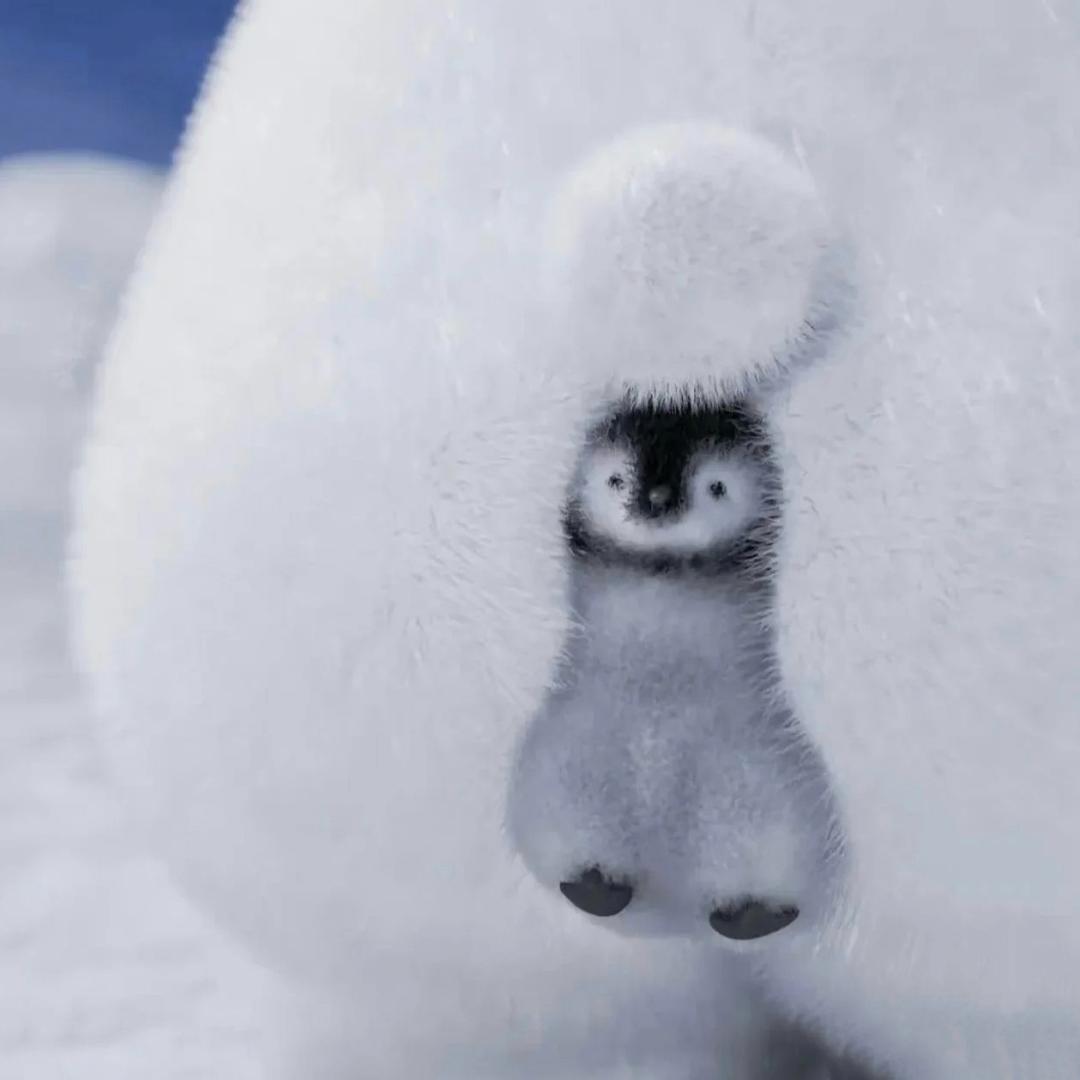 南絮