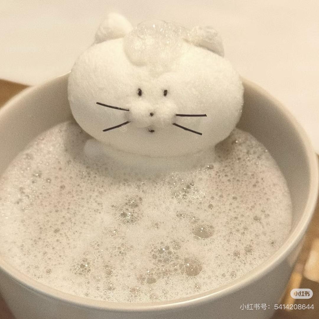 不吃薯条吃汉堡