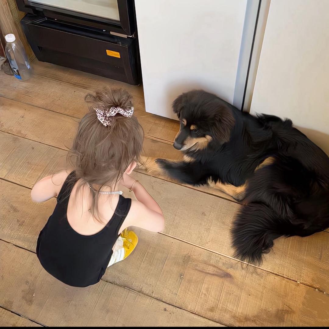 恬≽^•༚• ྀི≼