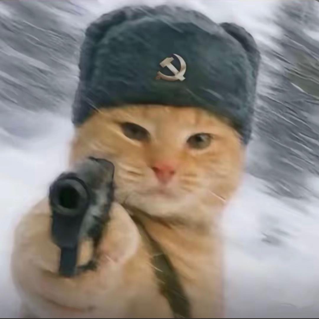 小喜羊.