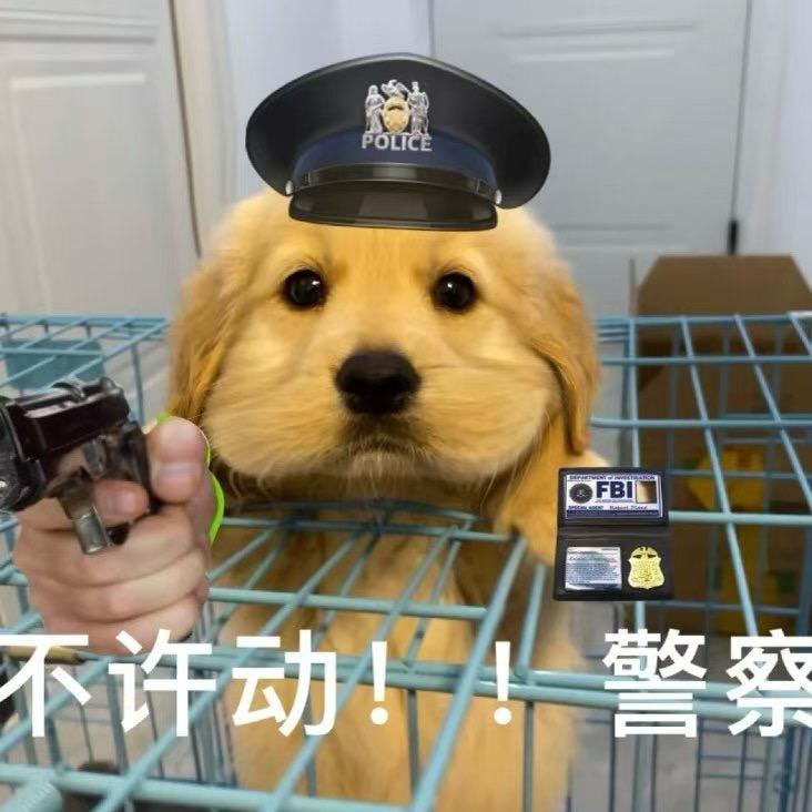 米球米球