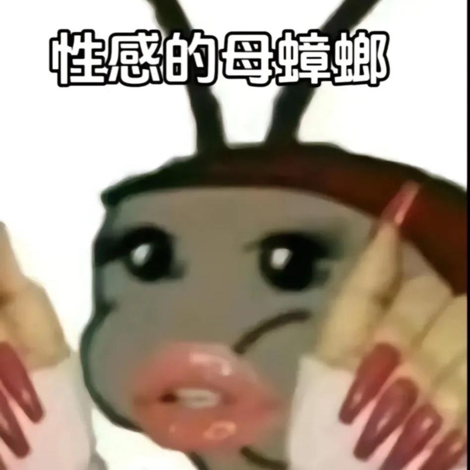 性感母蟑螂