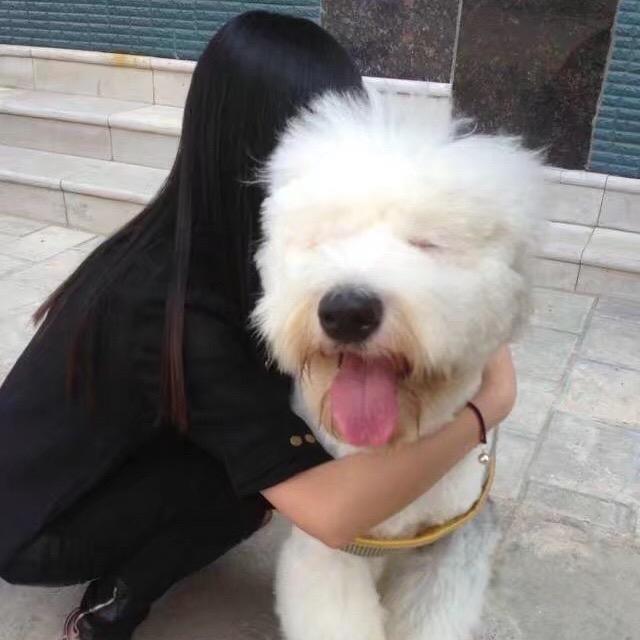 金融服务一站式 、小戴🐷