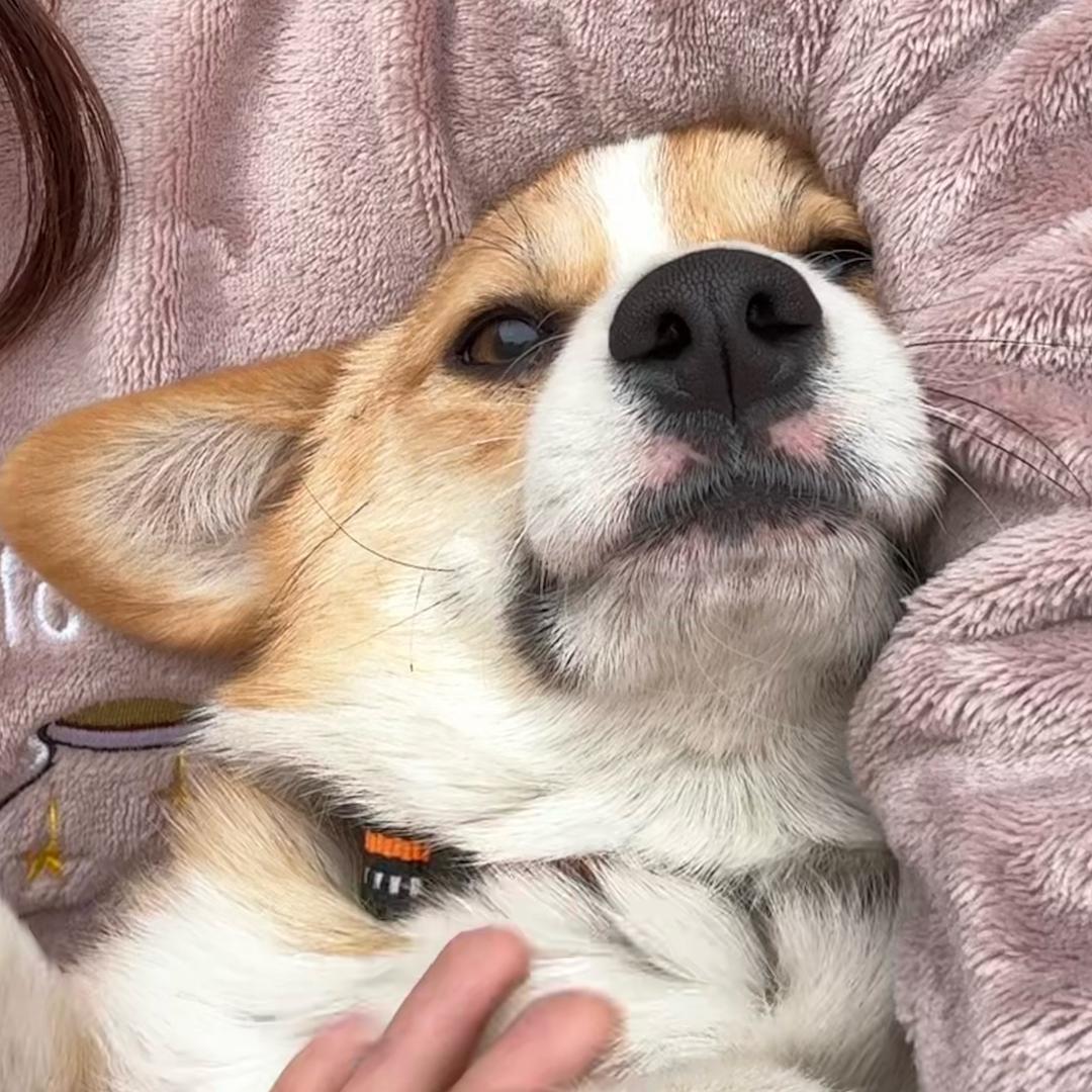 是笛