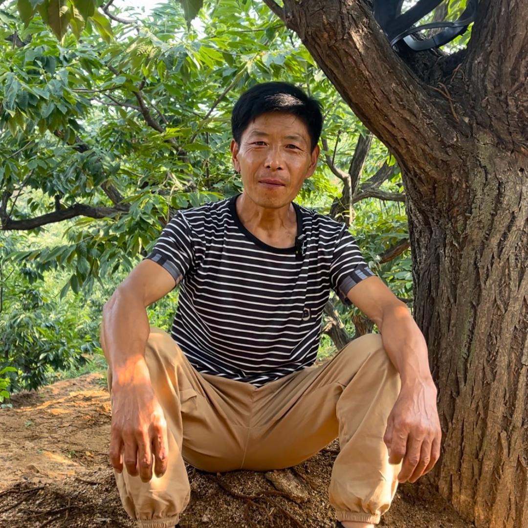 老张说板栗