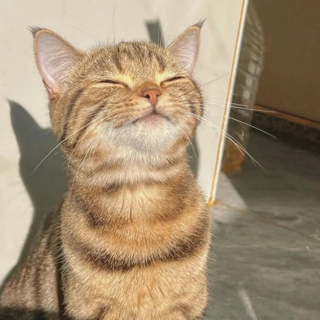 T.