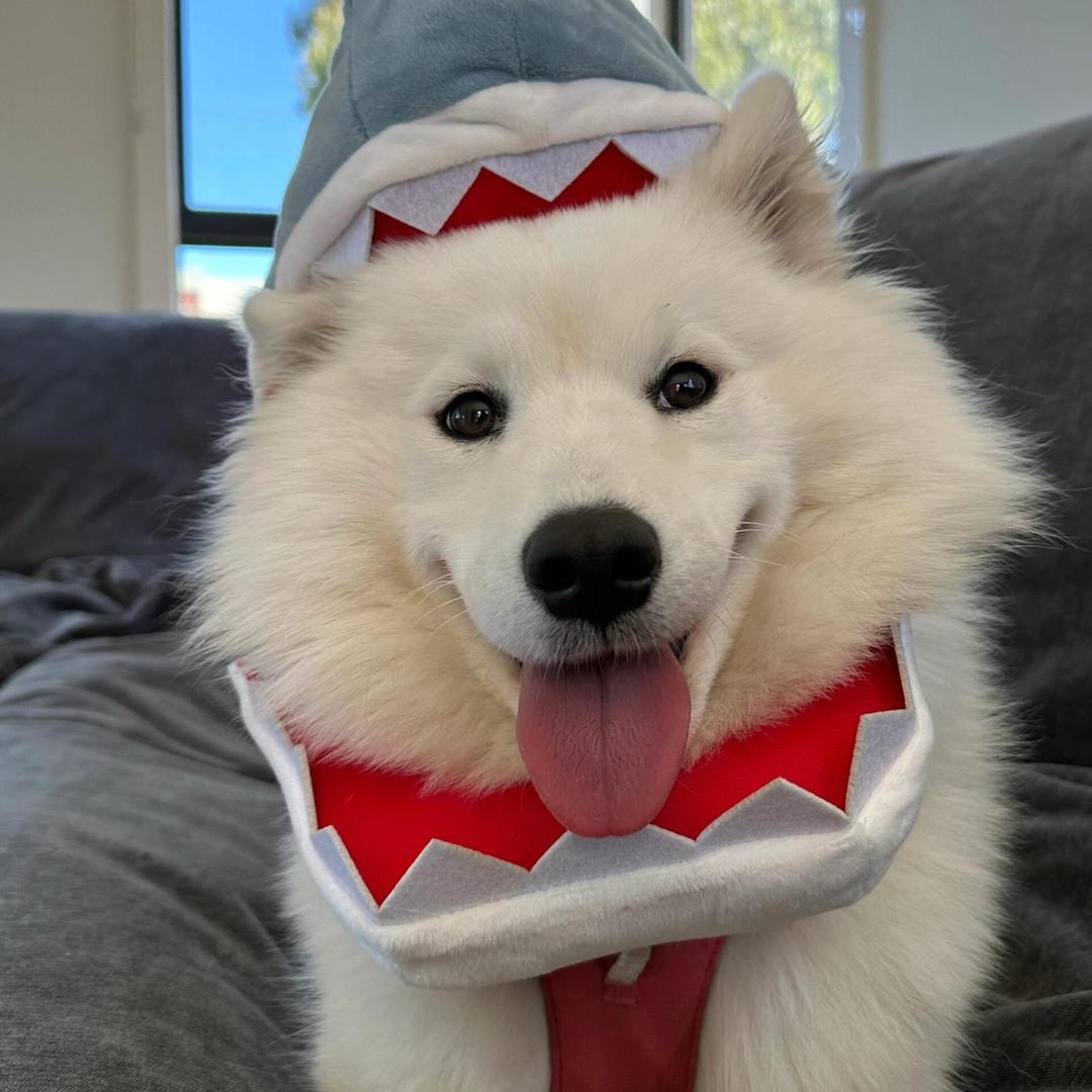 少说话不生气多努力