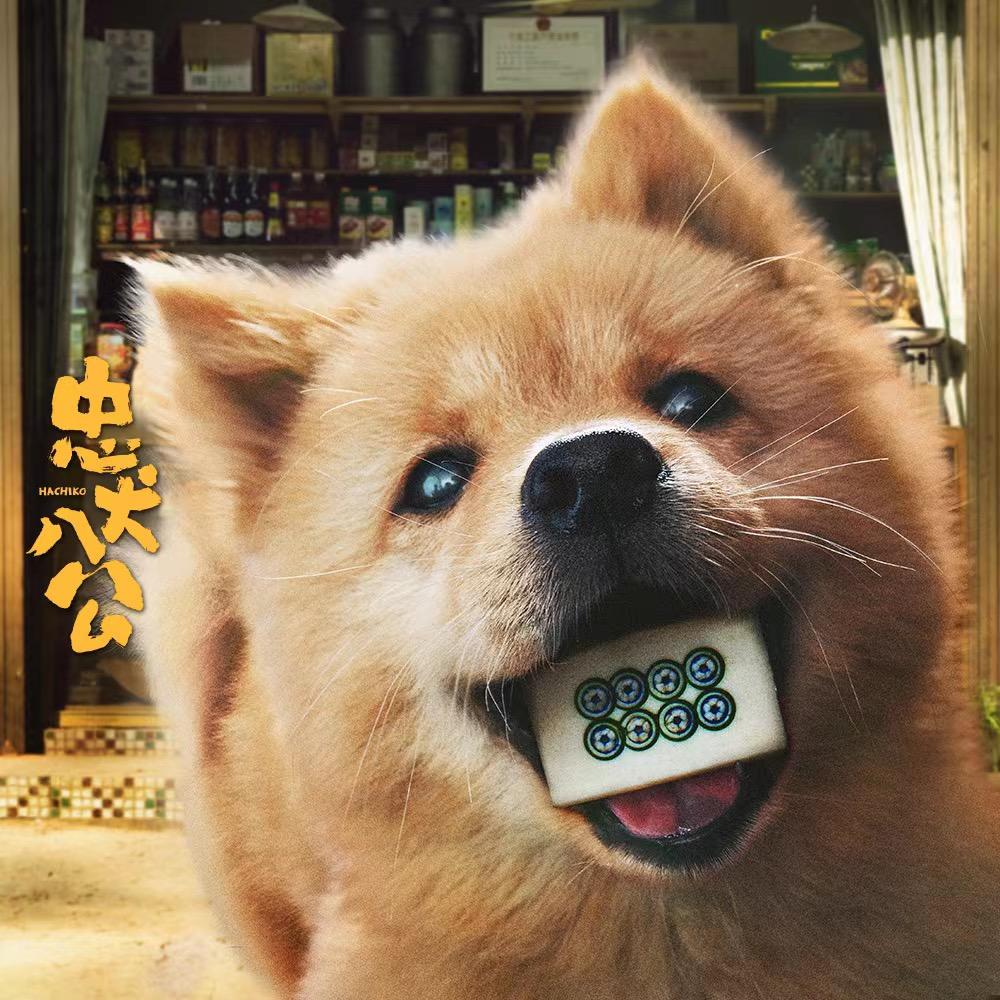 电影忠犬八公正在热映中