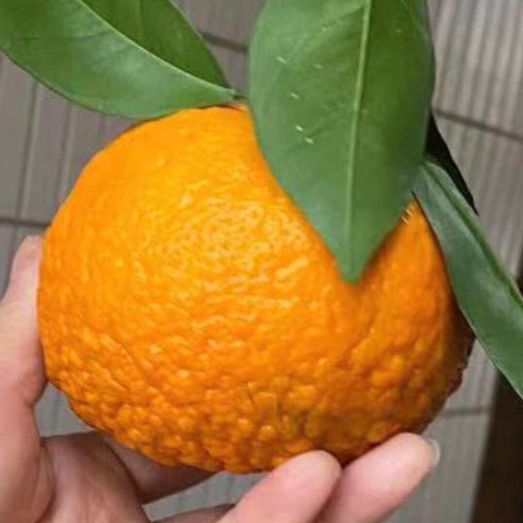 永远都是爱你的小宝贝