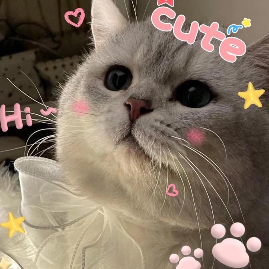 腿腿哦（6岁啦！）