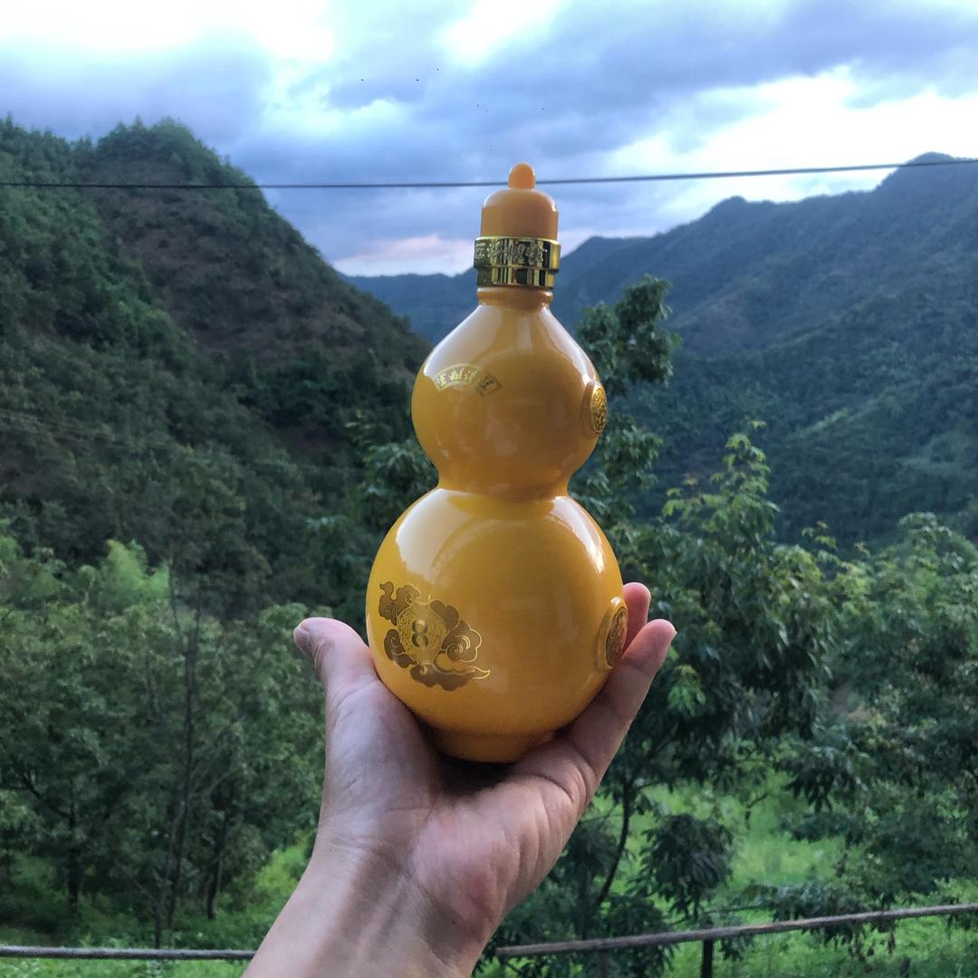 顺天应命自立为王