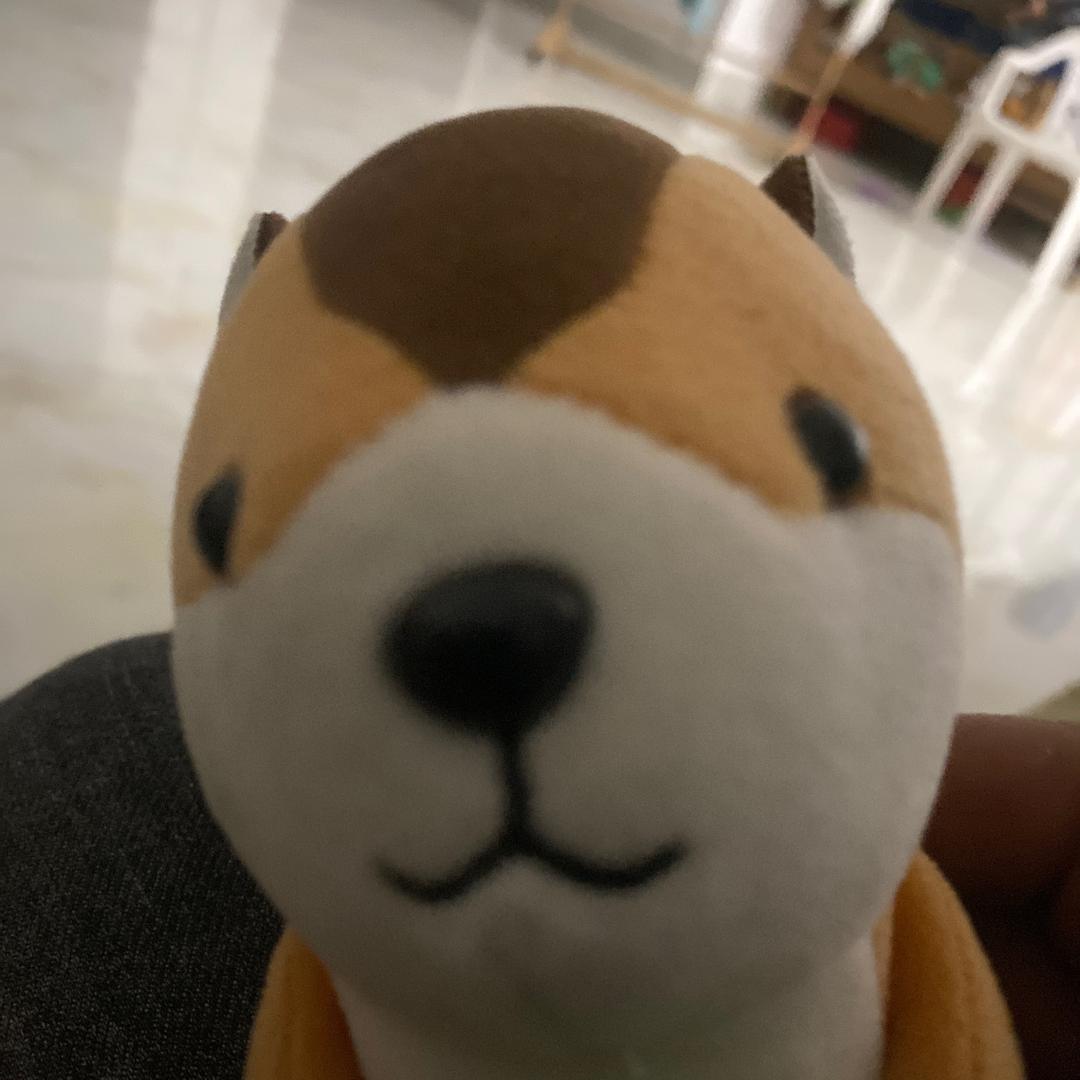 沈