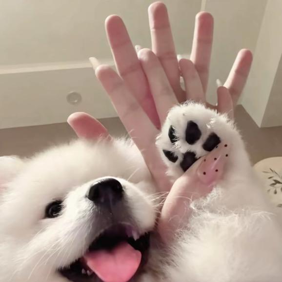 亡屠