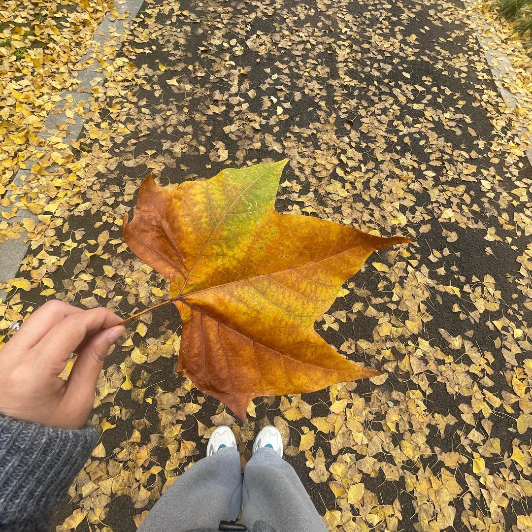 舍妄归真