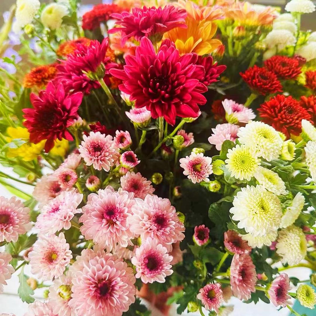 束曼花房｜品质鲜花