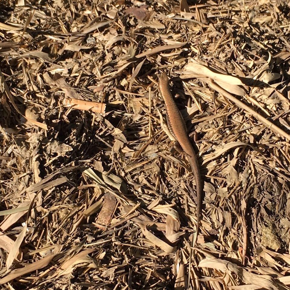 🌈天空蔚蓝🌈