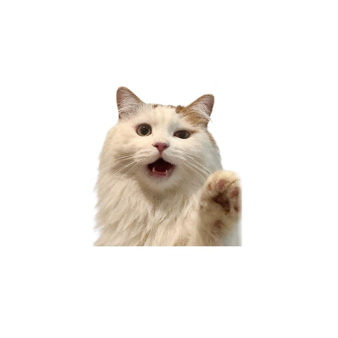 𝙞𝙪𝙪𝙪ᐝ