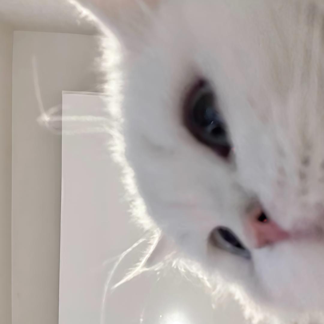 逛逛