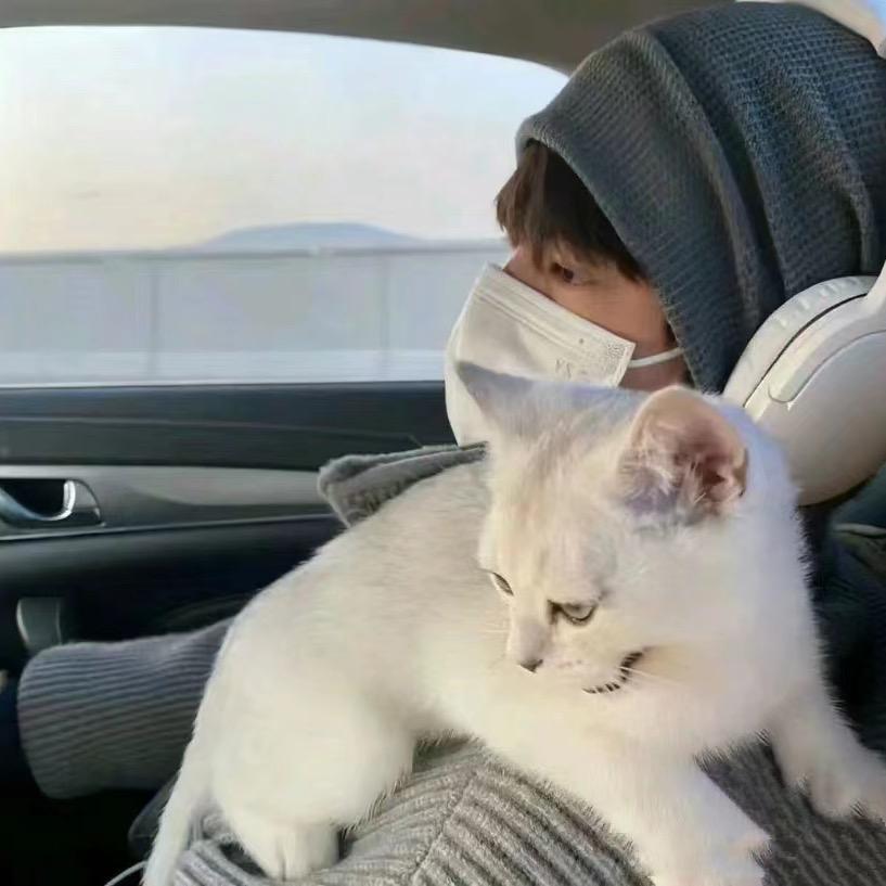 😊😊😊😊哈哈