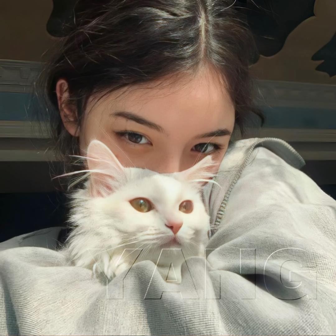 飞飞鱼