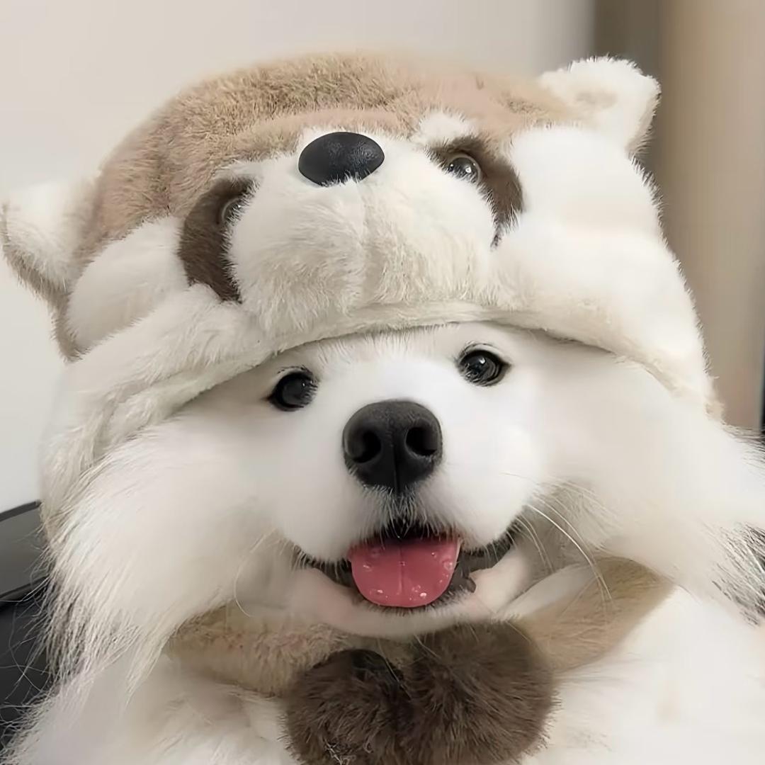 哼哼不想讲道理