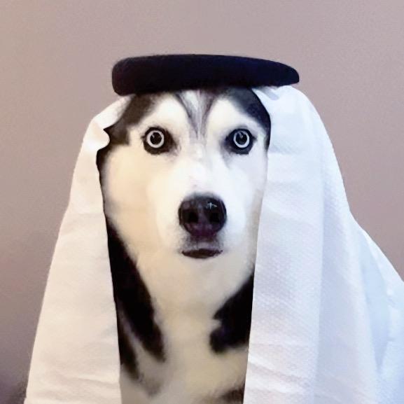 Million·吾百万之母（月子ing@抖音