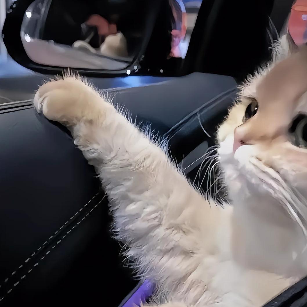 佛山真西电子商贸有限公司