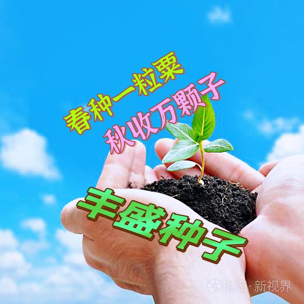 chxin666888