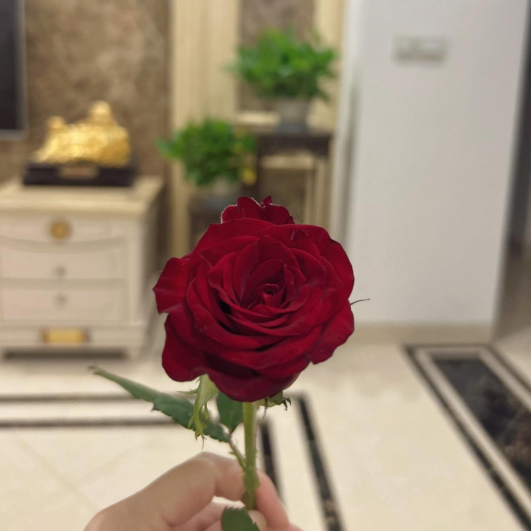 A🌸美丽从头开始🌈