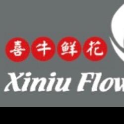 石家庄肖家营花卉喜牛鲜花批发