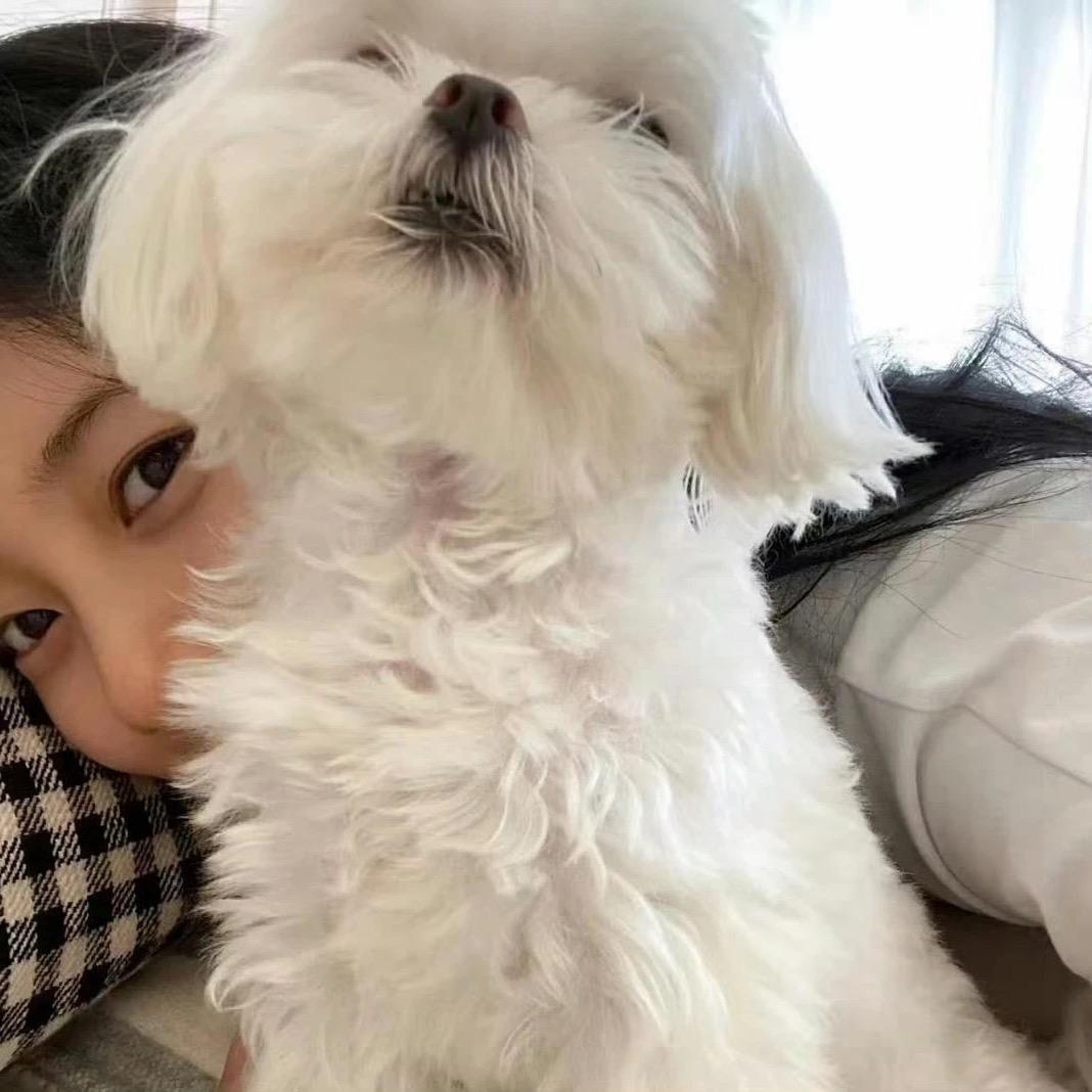 我睡觉的时候不困