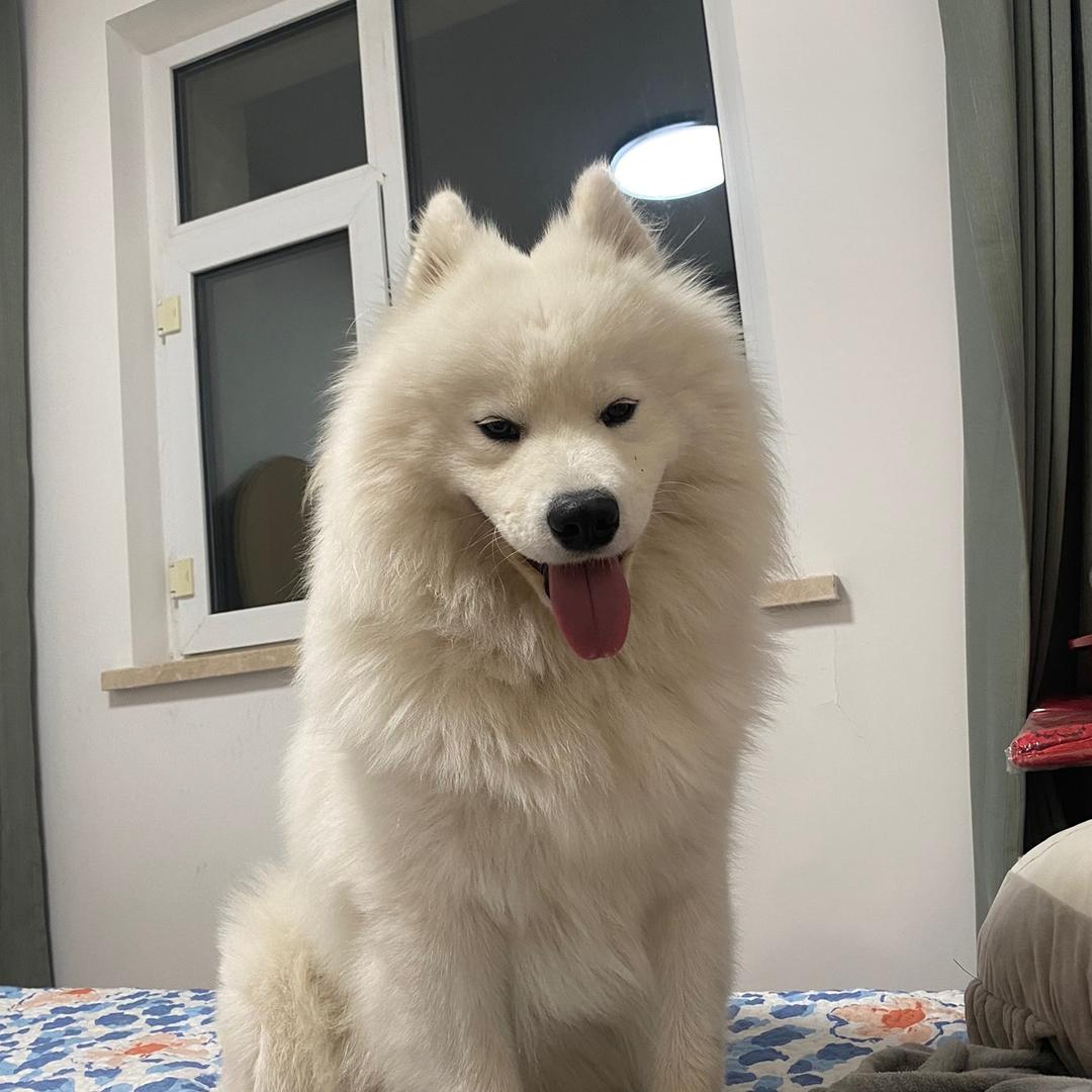 牛顿顿的妈妈