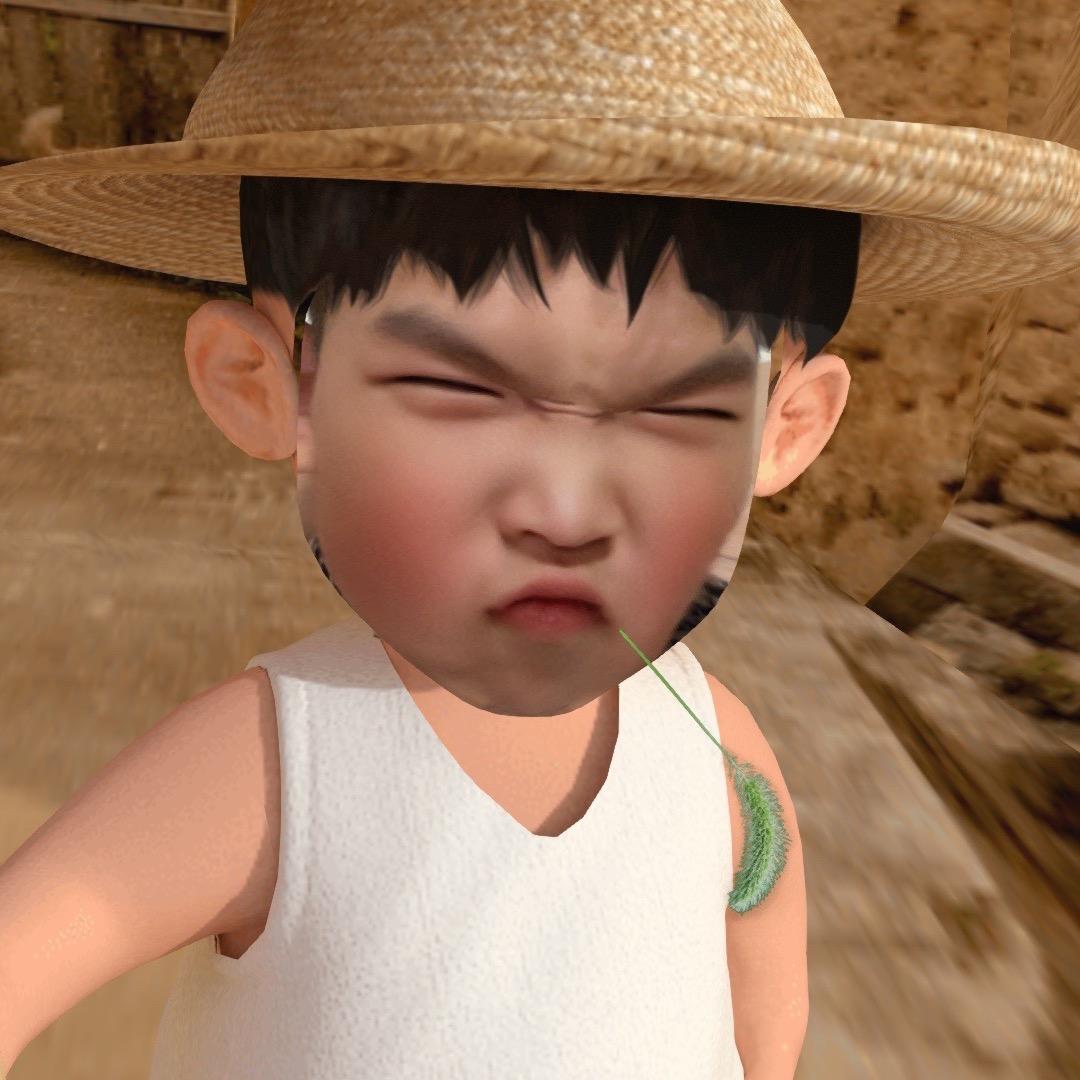 -小甲