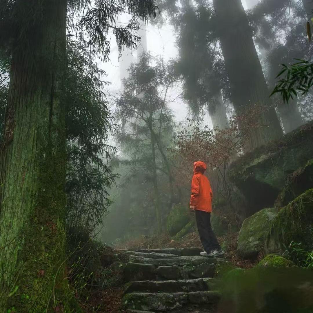 阿军环球旅行✈️