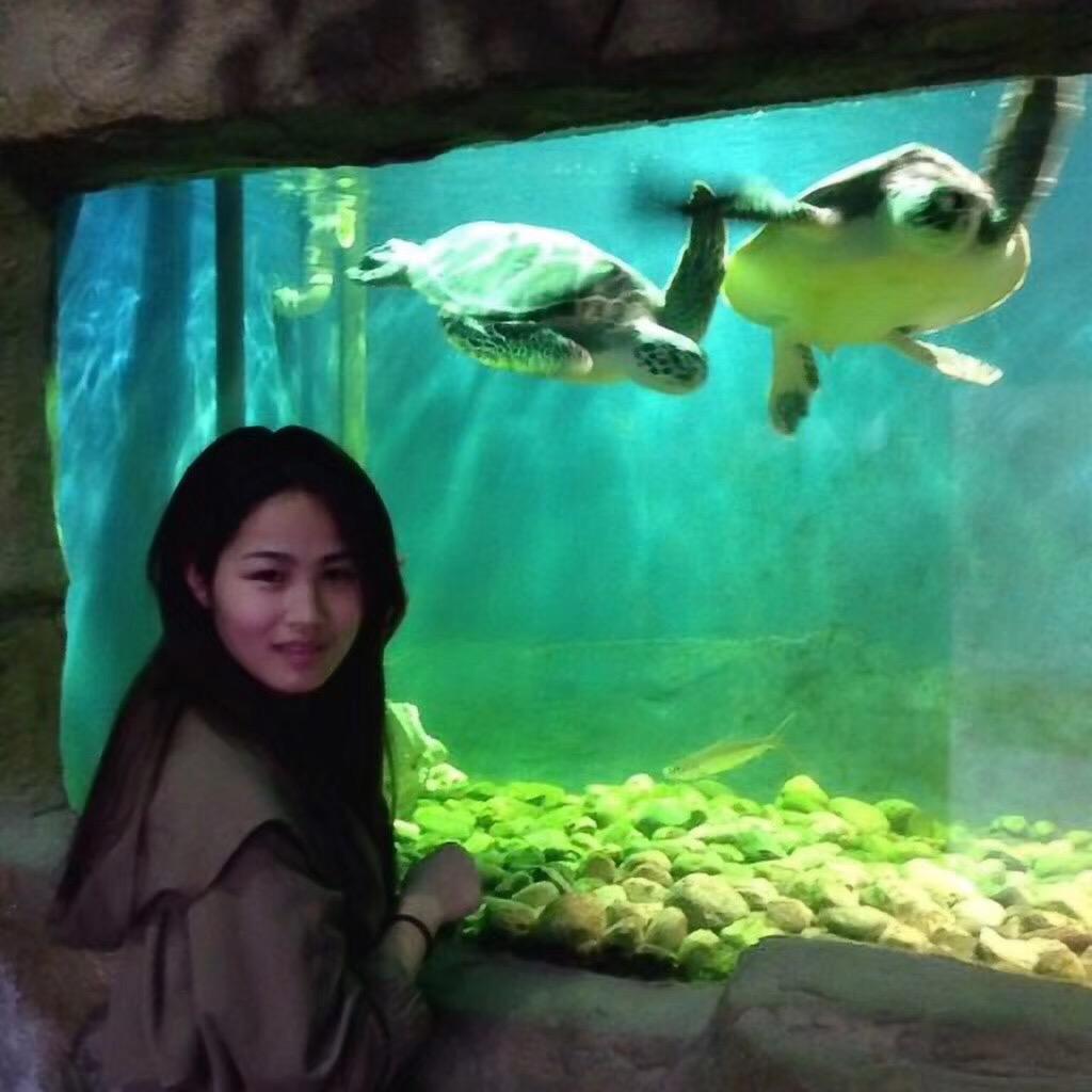 自 渡