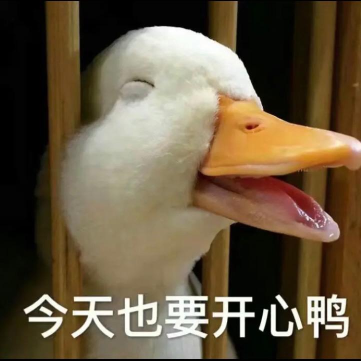 华电研究生考研咨询