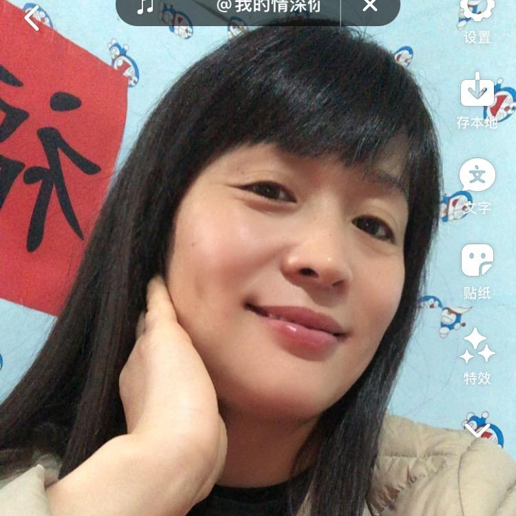 Z燕子