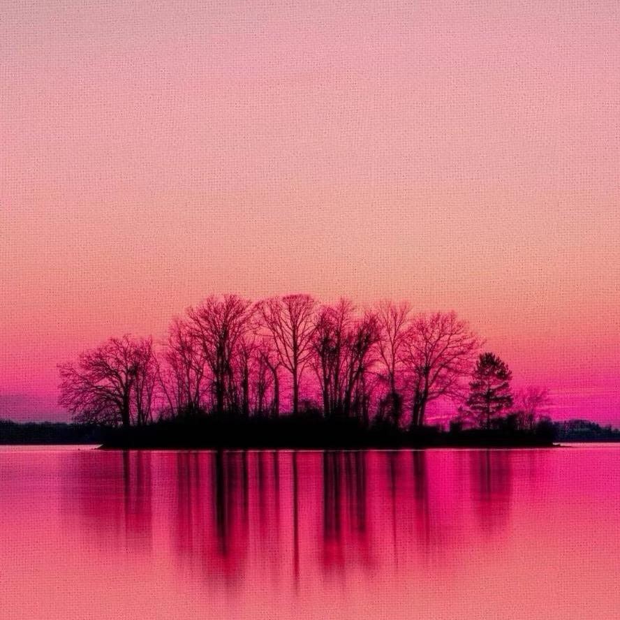 老魏讲aPP拉新工作室