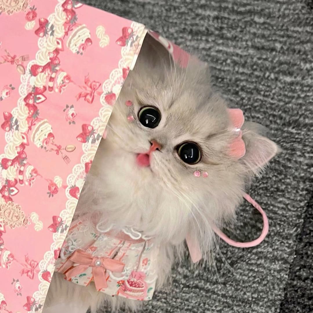 钊钊（努力种竹子中）