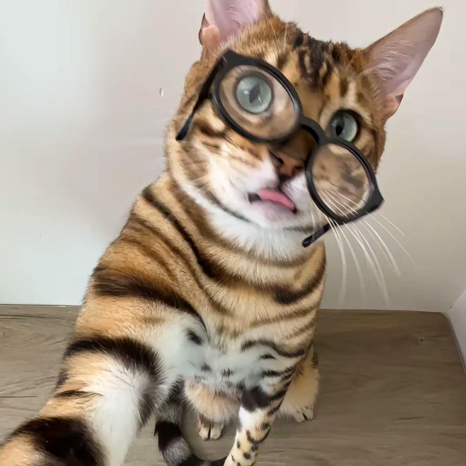 给我一杯敌敌畏