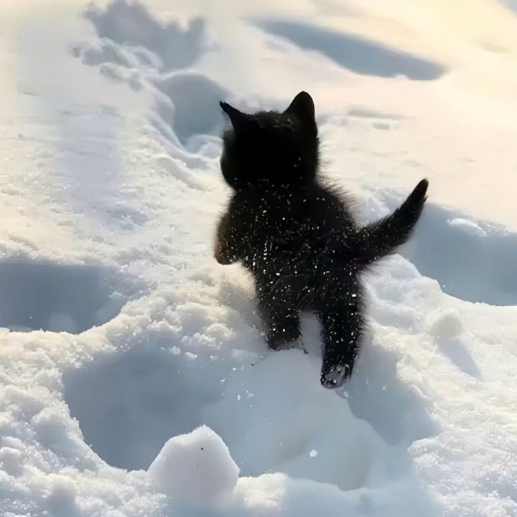 香烤猪蹄